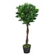 image 4 of Pair of 90cm (3ft) Twisted Stem Artificial Topiary Bay Laurel Ball Trees | Green | 3ft