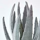 image 5 of Homescapes Aloe Vera Artificial Succulent in Decorative Rustic Terracotta Pot, 21 cm Tall