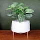 image 2 of White Ceramic Planter Metal Stand Plant Pot | White