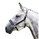 image 1 of Blenheim Leather Travel Horse Headcollar - Havana - Pony