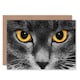 image 1 of Eyes Close Up Cat Art Blank Just to Say Card