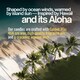 image 3 of Na Pali Handcrafted Candle | Aromatherapy | SANDALWOOD & AMBER