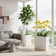 image 3 of 58cm Urbi Case Tall Rectangular Planter | White | White & Set of 1 | 1