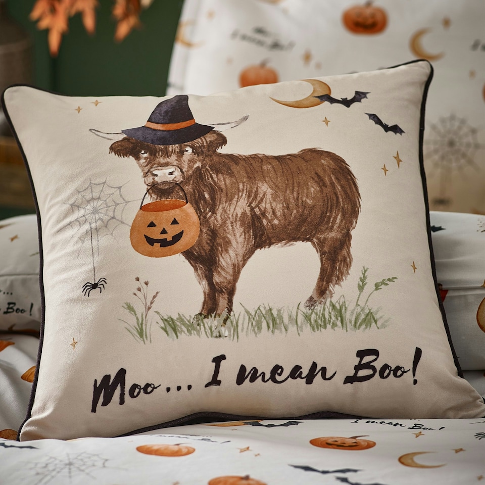 image 1 of Catherine Lansfield Halloween Highland Cow Soft Touch 45x45cm Cushion Natural Cream | Natural | 45 x 45 cm