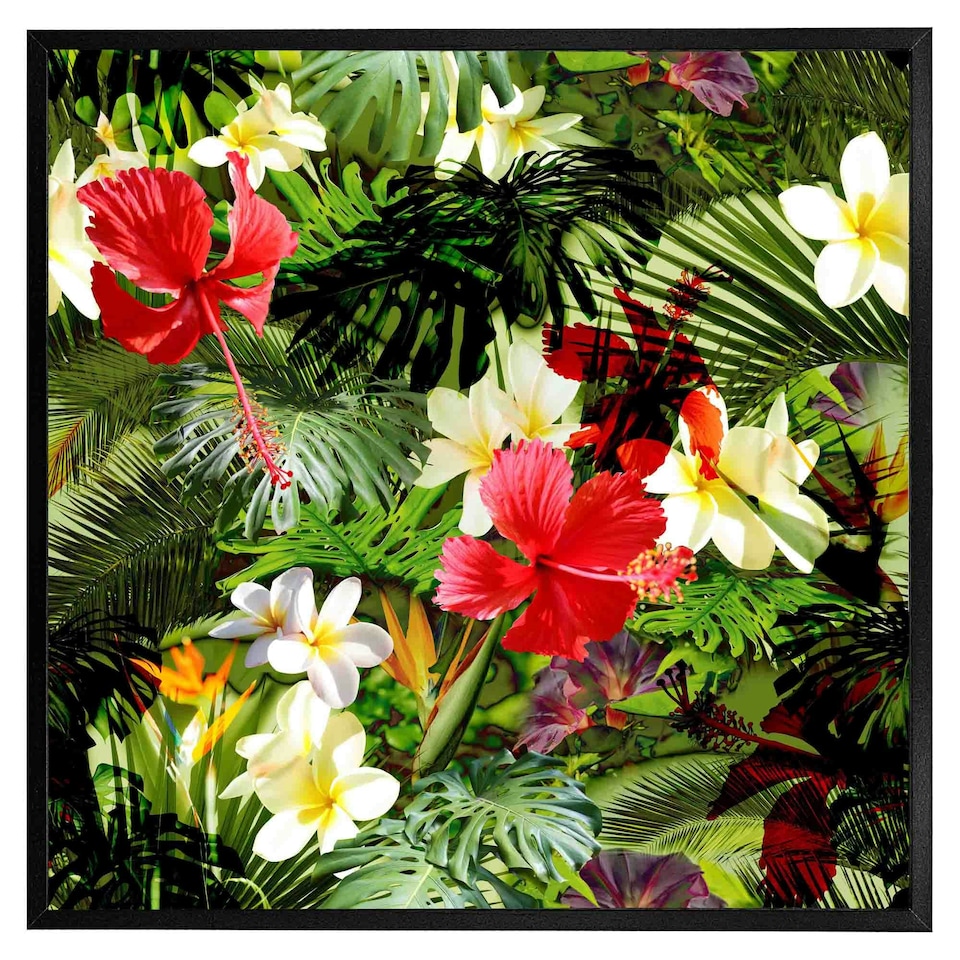 image 1 of Tropical foliage (Picutre Frame) Brown | Oak | XL