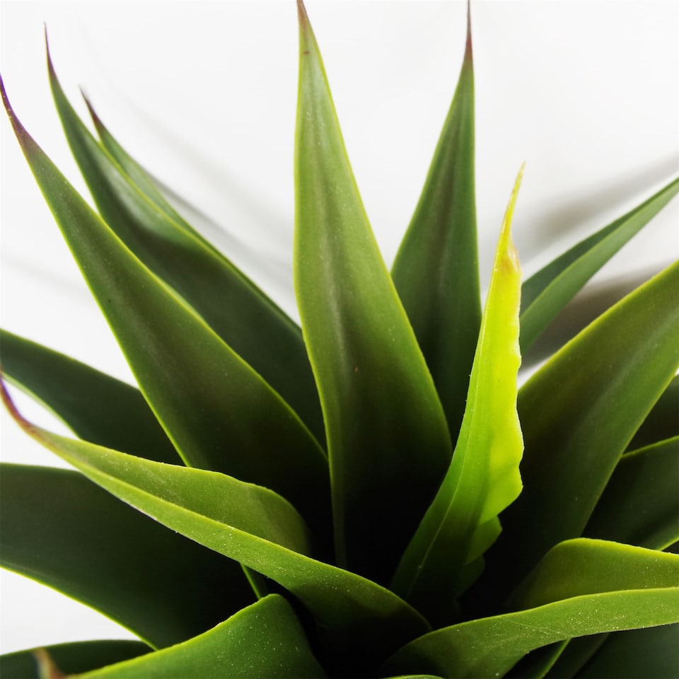 image 1 of 55cm Artificial Tropical Yucca Plant | Green | One Size