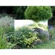 image 5 of Primrose Large Narrow Illusion Garden Mirror 180cm x 44cm