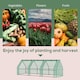 image 6 of Outsunny Mini Greenhouse Garden Planter Zipper Doors Portable 270 x 90 x 90cm