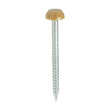 Timco - Polymer Headed Pins - A4 Stainless Steel - Oak (Size 30mm - 250 Pieces)