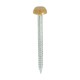 image 1 of Timco - Polymer Headed Pins - A4 Stainless Steel - Oak (Size 30mm - 250 Pieces)