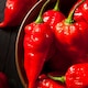 image 2 of Grow Your Own Vegetable Chilli Pepper Ghost Chilli 9cm Pot x 3