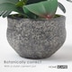 image 4 of Homescapes White Orchid 52 cm Phalaenopsis in Cement Pot Extra Large, 5 Stems