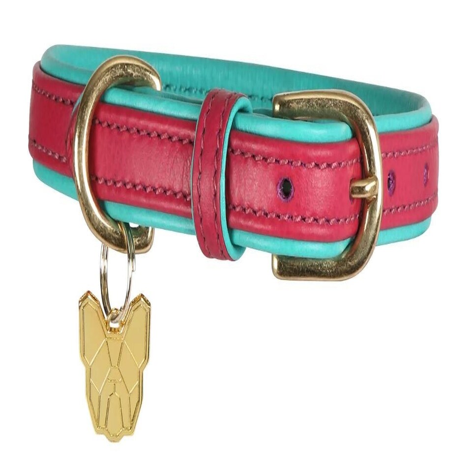 image 1 of Shires Digby & Fox Padded Leather Dog Collar Blue | Size: XX-Small
Colour: Navy