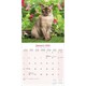 image 3 of Burmese Cats 2026 Calendar | Square Wall Calendar | Cat Gift | Plastic Free Packaging | by Avonside Publishing