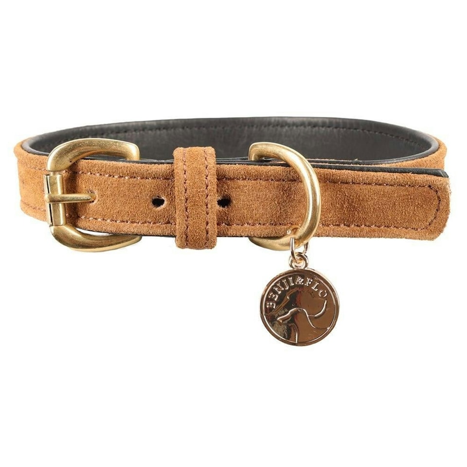 image 1 of Benji & Flo Noble Suede Dog Collar - Tan/Gold - XL