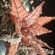 image 3 of 68cm Frosted Light Coral Pink Poinsettia Stem Christmas Decoration