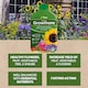 image 9 of Vitax Liquid Growmore 1L Concentrated All Purpose Plant Feed for Lawns Vegetables Flowers NPK Fertiliser Growth Boost