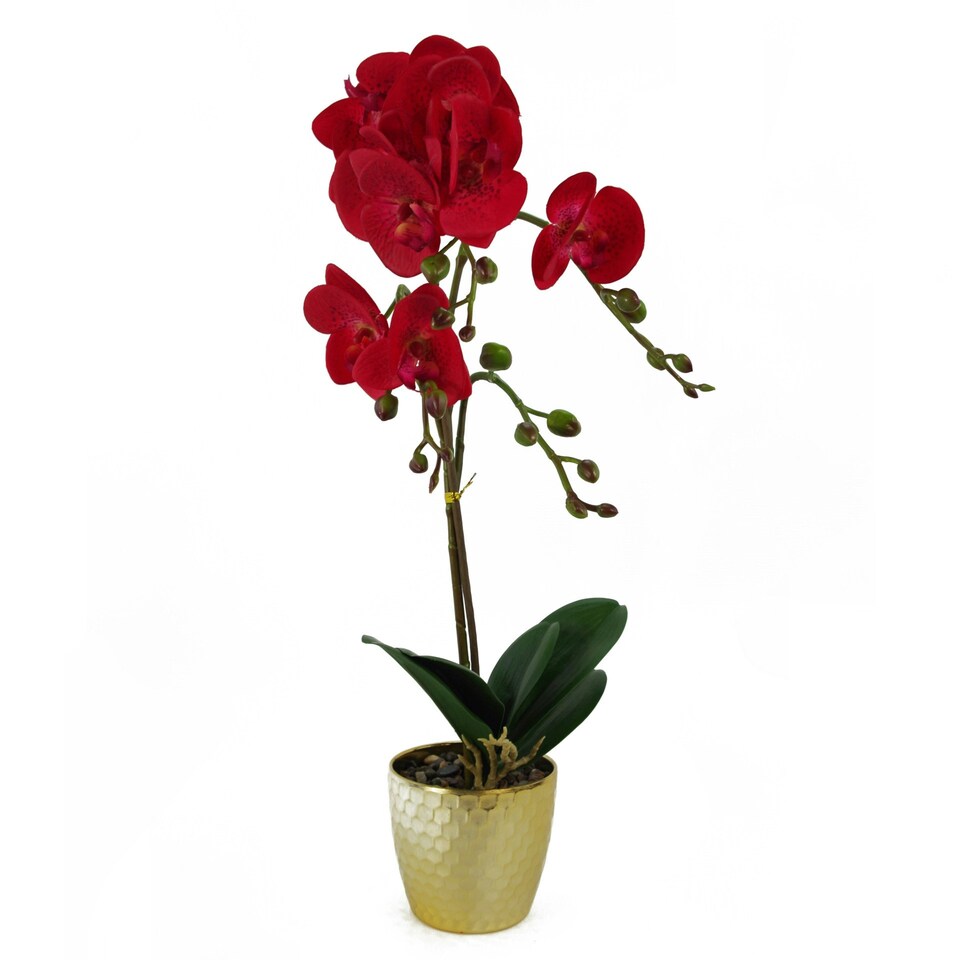 image 1 of Orchid Artificial Red Leopard Gold Pot 50cm Phalaenopsis