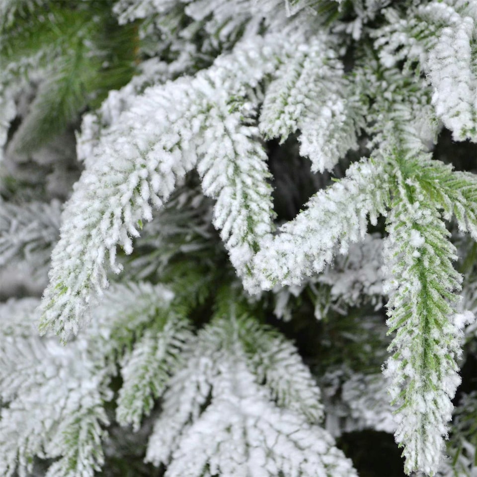 image 1 of 10FT Green Lapland Snow Covered Christmas Tree | White | 10ft