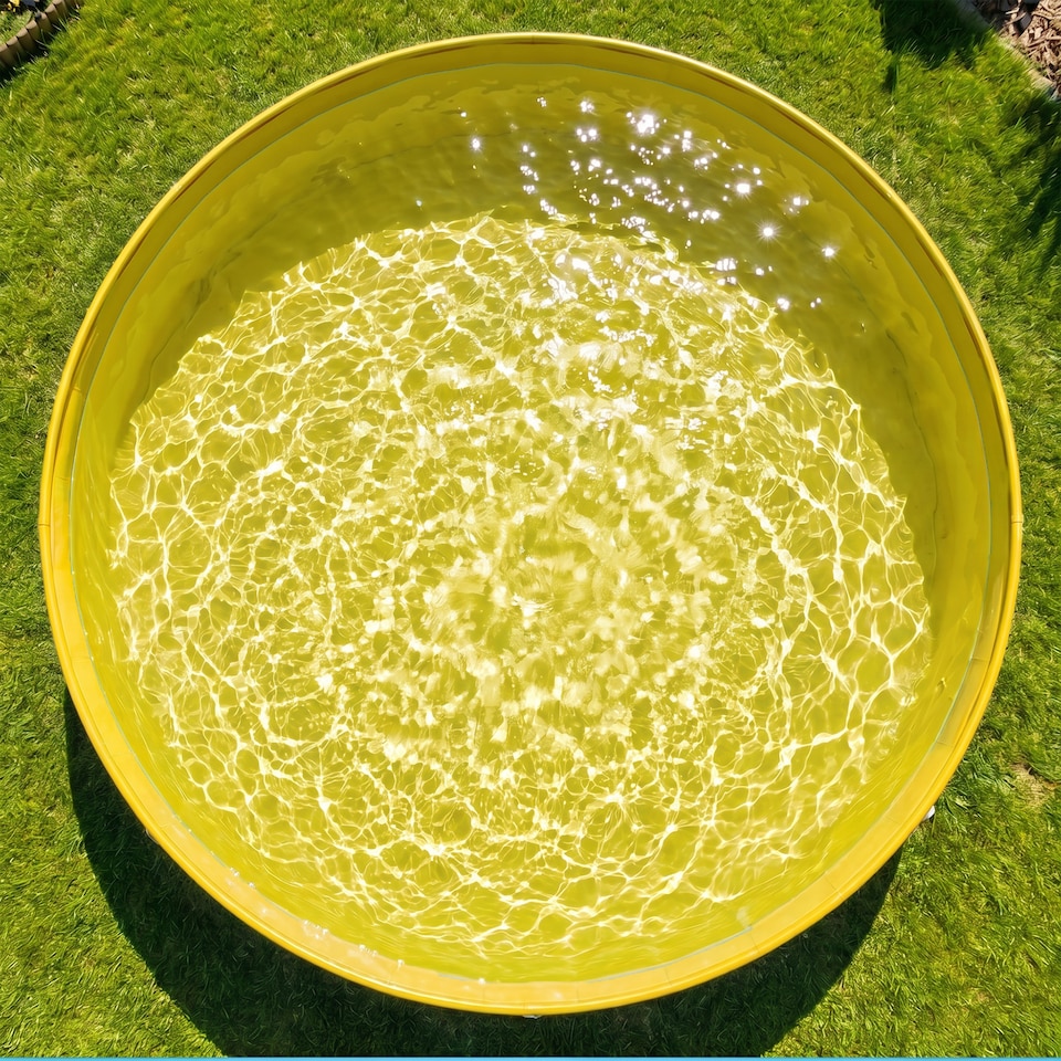 image 1 of PawHut Dog Pool Dog Bath Tub Dog Paddling Pool, 100 x 30 cm