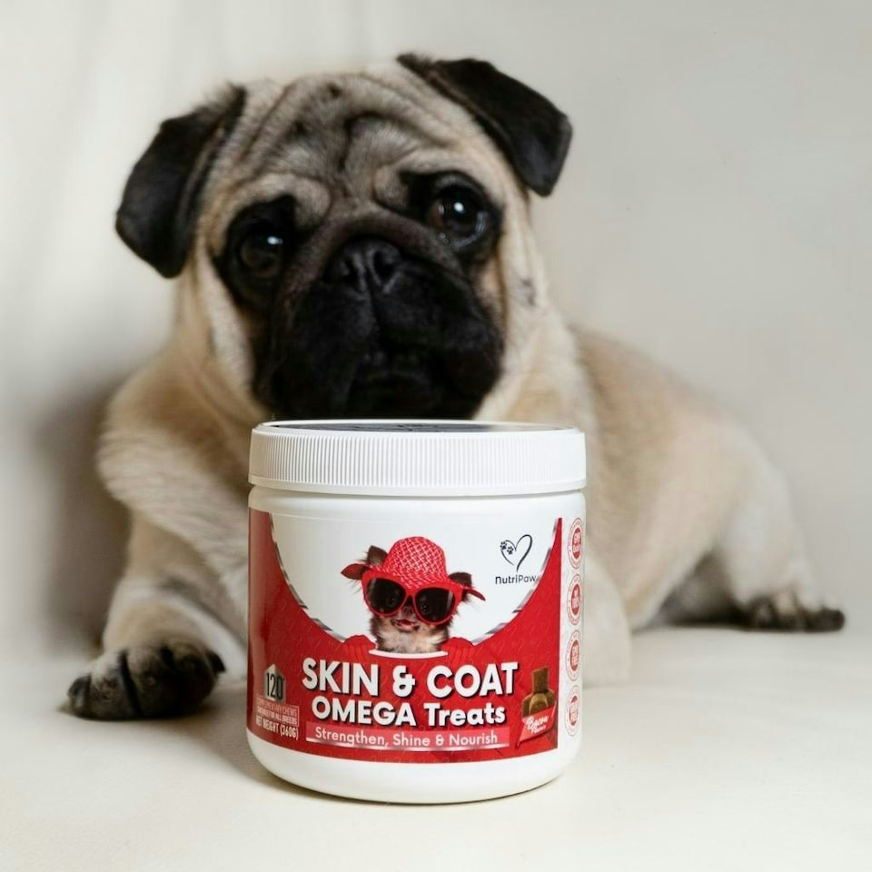 image 1 of Skin & Coat Treats