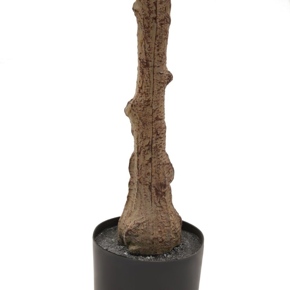image 1 of Calabria Small Olive Tree - Plastic - L17 x W17 x H100 cm - Green