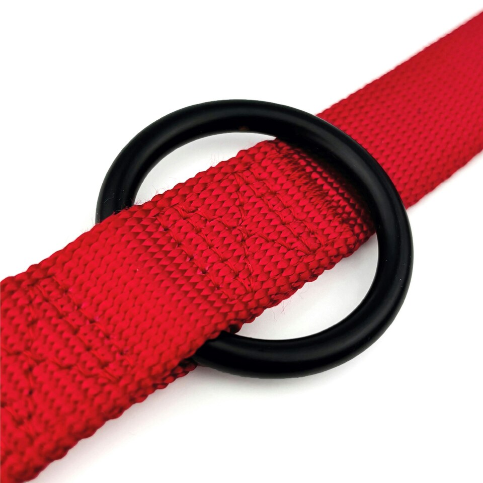 image 1 of HugglePets 10 in 1 Dog Training Lead - 200 x 1.9cm Red