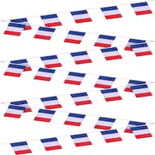 France Party Bunting 10M