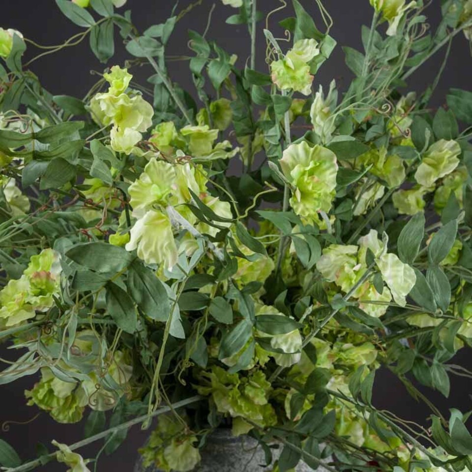 image 1 of Wisteria Stem Artificial Plant - Fabric/Plastic - L27 x W27 x H113 cm