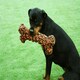 image 2 of Nuts for Knots Extreme Rope Bone Shaped Dog Toy