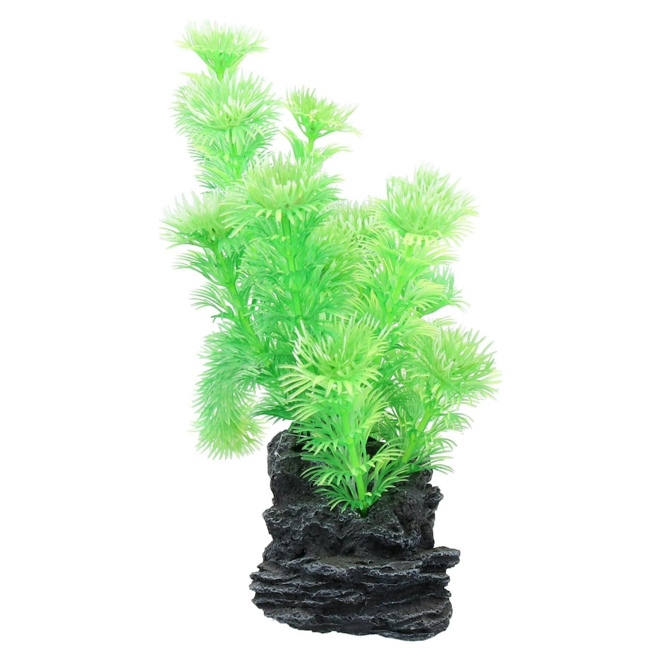 image 1 of Natural Look Aquatic Aquarium Fish Tank Deco Plant Rock Cabomba 5x12x20cm