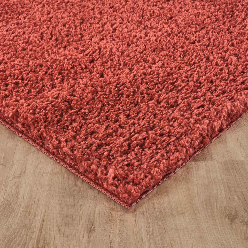 image 1 of Desire Rugs Ainsley Plain Living Room Shaggy Area Rug