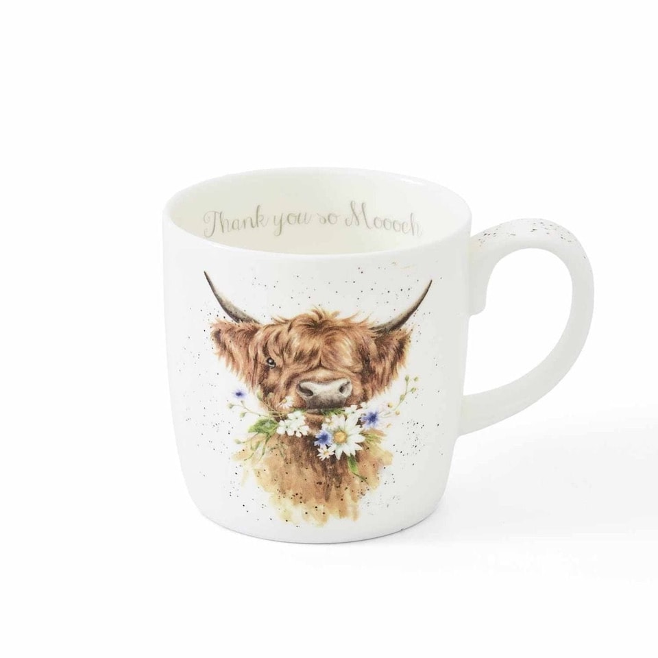 image 1 of Wrendale Designs Royal Worcester Thank You So Moooch Highland Cow Gift Boxed Mug