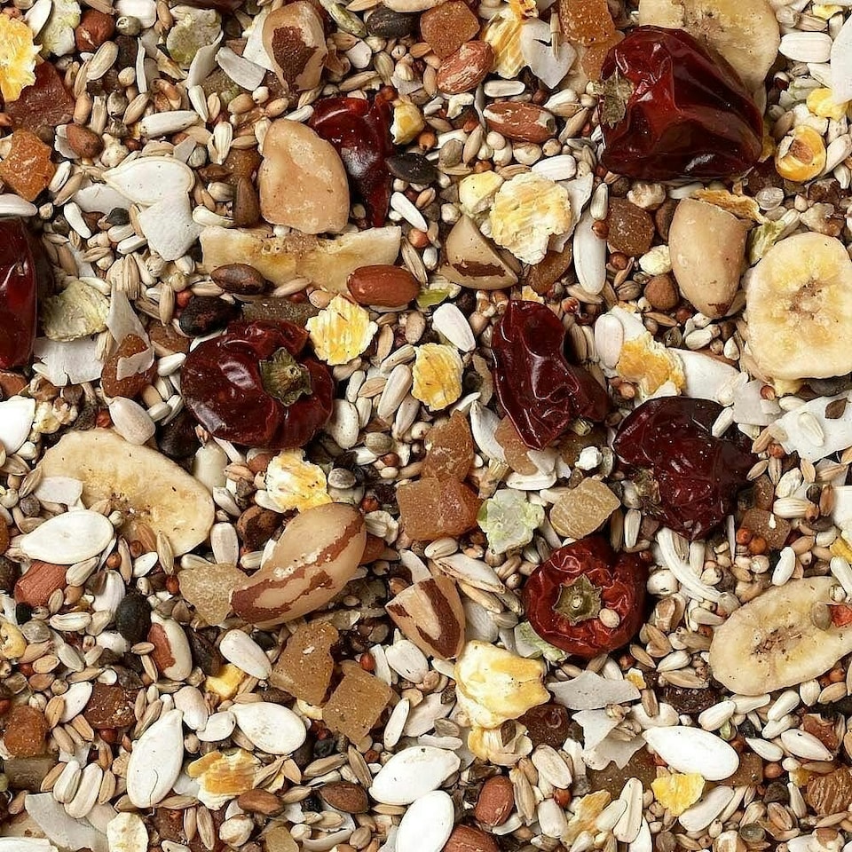image 1 of Johnston & Jeff Low Sunflower For African Greys 2kg