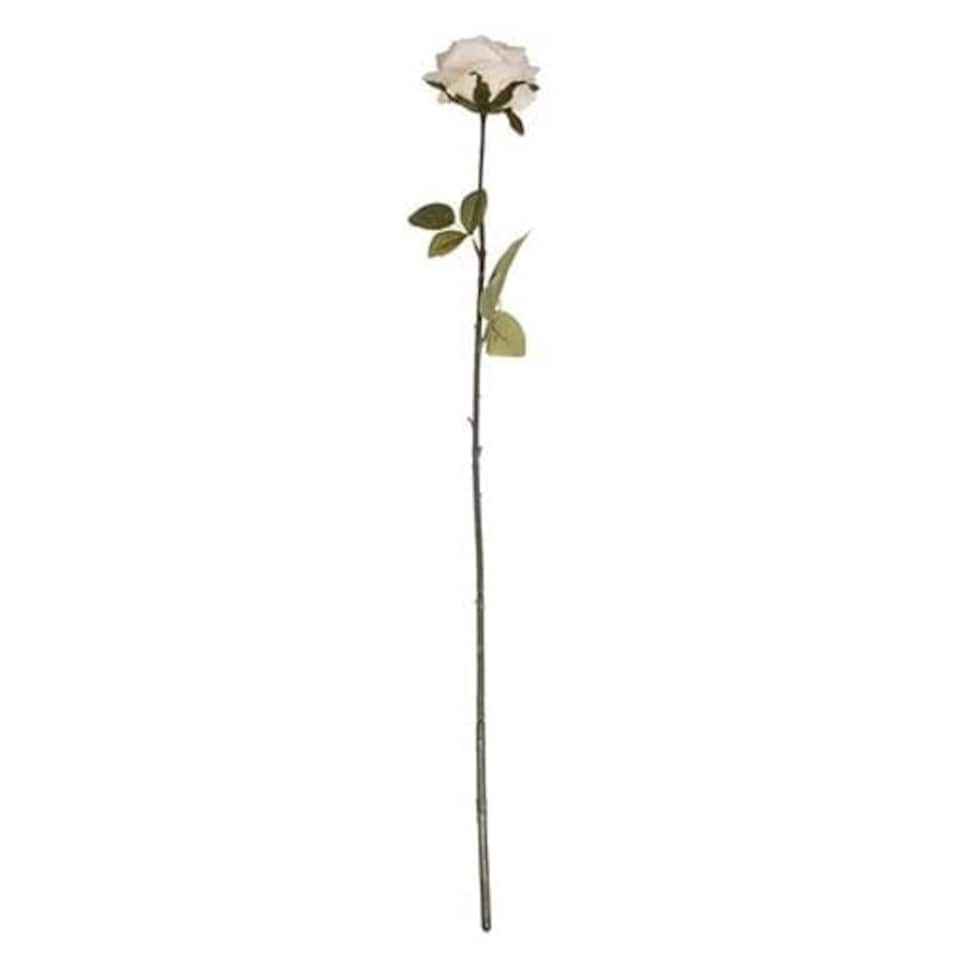 image 1 of Cream Rose Vintage Artificial Silk Flower 72cm