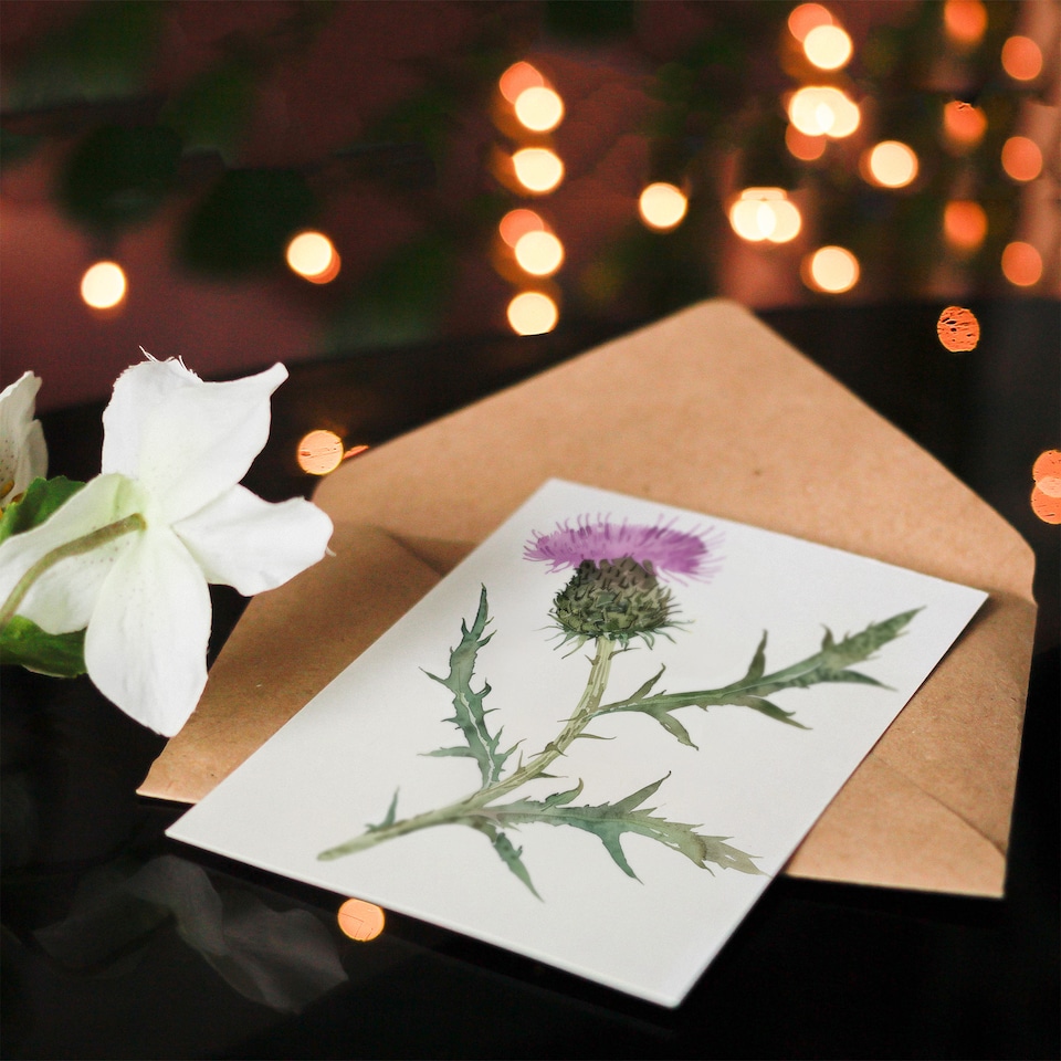 image 1 of Single Scottish Thistle Flower Bloom Watercolour Sympathy Card