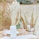 image 2 of White Bunny Tail Grass - Pack of 20