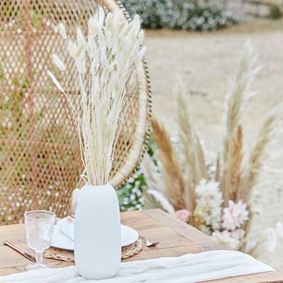 image 1 of White Bunny Tail Grass - Pack of 20