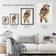image 3 of Eagle Owl Perched on a Branch Vintage Wall Art Print van Hoytema 18x24"