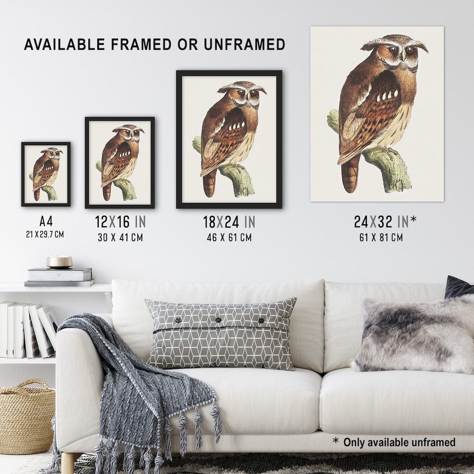 image 1 of Eagle Owl Perched on a Branch Vintage Wall Art Print van Hoytema 18x24"