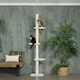 image 6 of PawHut 220-260cm Kitten Tower, Multi-Layer Floor to Ceiling Cat Tree, Yellow