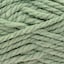 4429 Parsley | Green