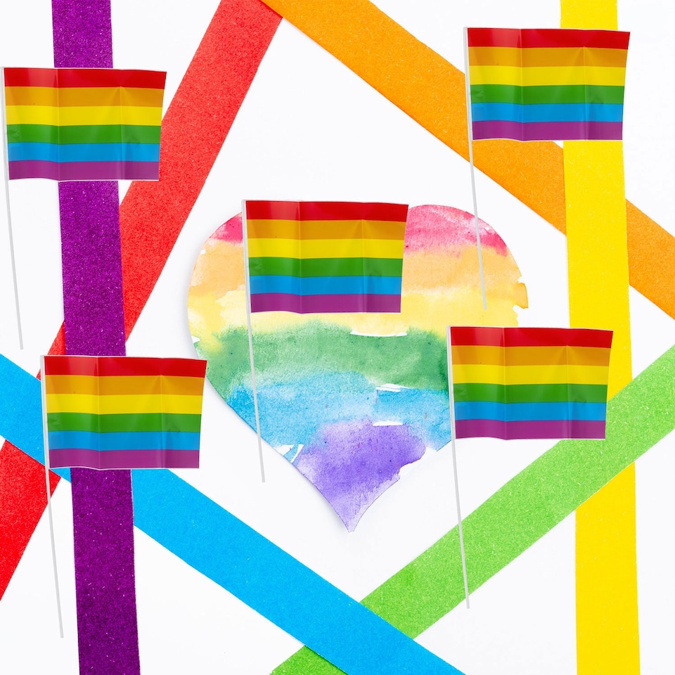 image 1 of PMS Rainbow Pride Flag 30 x 20 cm - LGBT Rainbow Stripes
