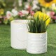 image 2 of English Tableware Company Bee Happy Large Planter