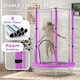image 3 of AIYAPLAY 4.6FT Kids Trampoline with Safety Enclosure Net, Purple