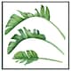 image 3 of Triple botanical (Picture Frame) Brown | S