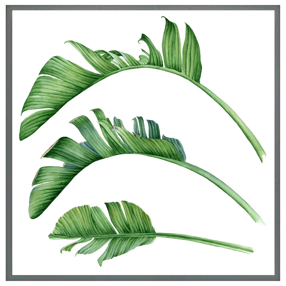image 1 of Triple botanical (Picture Frame) Brown | S