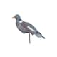 image 7 of Marco Paul Pack of 6 Pigeon Bird Scarer