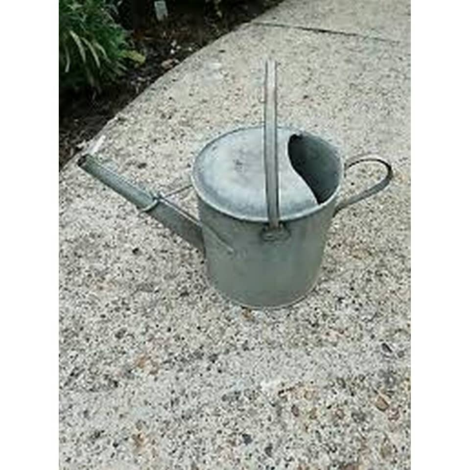 image 1 of Ambassador Galvanised Watering Can - Silver - 9l