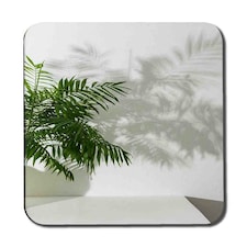 Chamaedorea Coaster Set